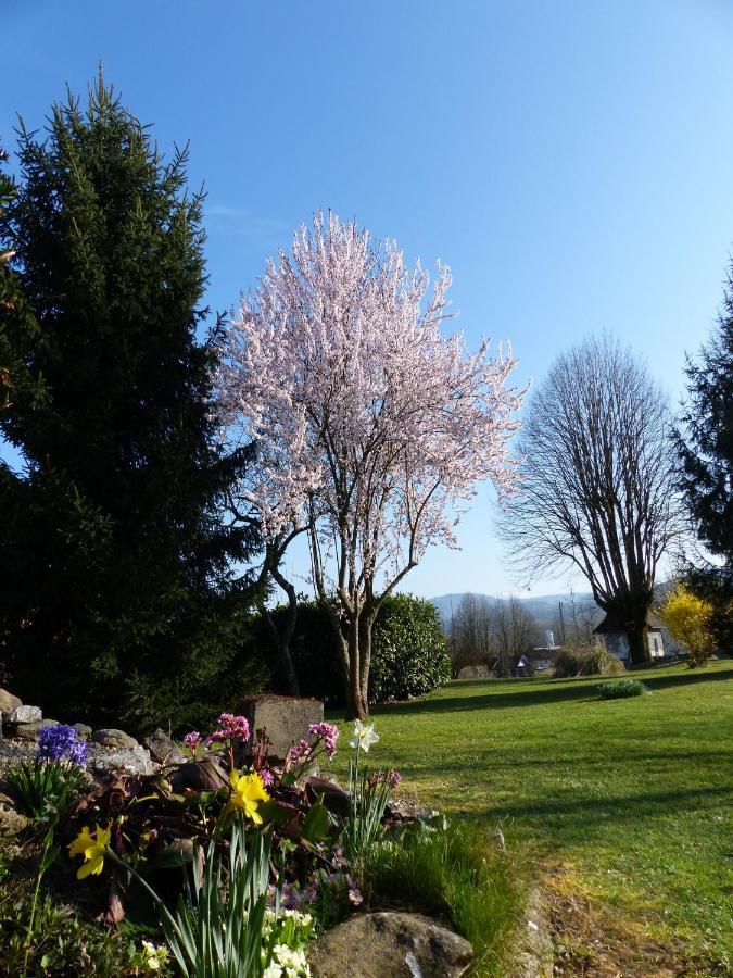Hotel Morris Le Pont-de-Beauvoisin ภายนอก รูปภาพ